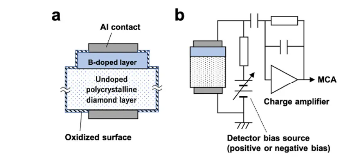 1762311242131913.png 1.png