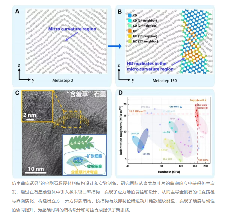 1762996237351922.png 1.png